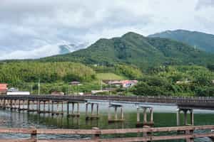 Yakushima Island