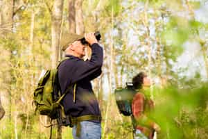 Spot Colombia's birds in their natural habitat