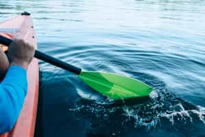 Go on a kayaking adventure at Miyajima Island