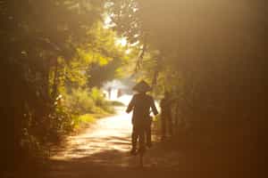 Explore Hoi An Countryside by Bike from Da Nang