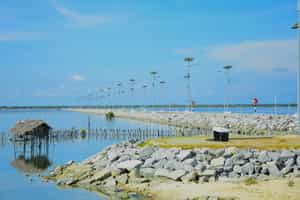 Explore the city highlights of Mannar