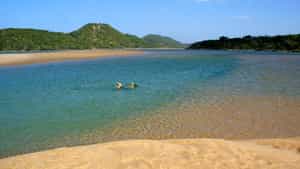 Snorkel in crystal-clear warm water at Kosi Mouth