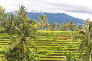 South Lombok