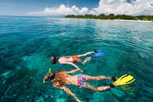 Go snorkeling on the coast of South Lombok
