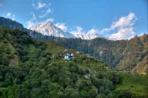Trek through the Himalayas on a full-day hike to Triund