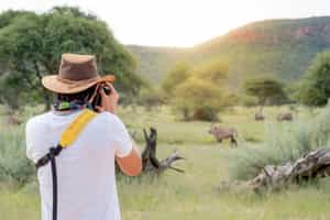 Capture amazing wildlife on a photographic safari
