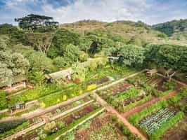 Enjoy a culinary experience at Gibb's farm