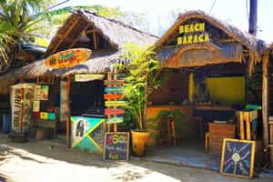 Immerse yourself in the local culture in Tofo