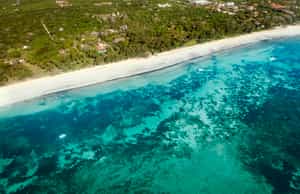 Diani Beach