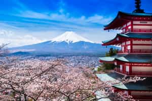 Full Day Kawaguchiko & Mt Fuji 5th Station Excursion