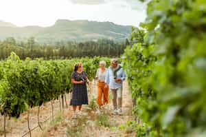 Enjoy a wine tasting tour in Canelones & Maldonado 