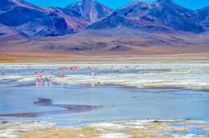 Explore the unique landscape of Salar de Uyuni 