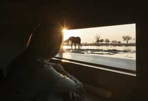 View wildlife from a sunken hide at Linkwasha
