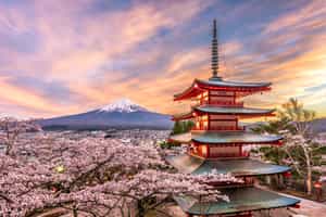 Visit the iconic Chureito Pagoda near Tokyo
