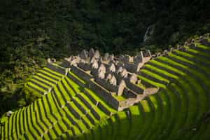 Take a hike to the Wiñay Wayna complex