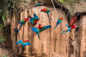 Explore the bird life around Lake Condenado