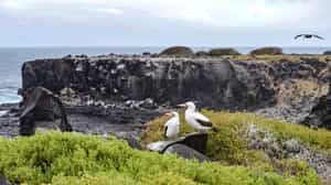 Take the circular birding trail to Suarez Point