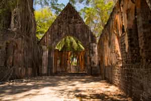 See the ancient ruins of Ross Island