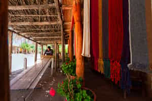 Explore the city of Cachi on a guided tour