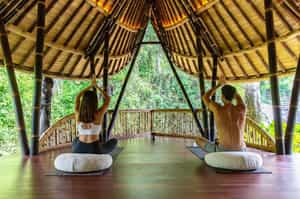 Take part in the meditation & yoga classes 