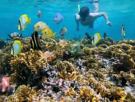 Go snorkeling in Cahuita National Park