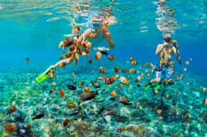 Snorkel the coral reefs of the Phu Yen Peninsula