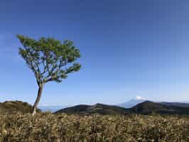 Hike the trails of Mount Daruma