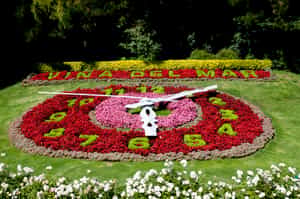 Explore Viña Del Mar known as the garden city 