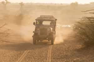 Take a Jeep safari in Desert National Park