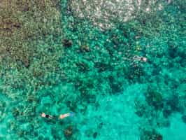 Snorkel in Galapagos islands crystal waters