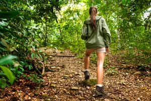 Go on a wildlife walking safari in the Amazon