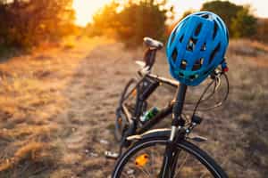 Bike along the trails of Southern Pantanal