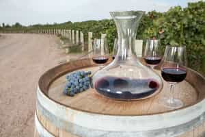 Journey through Argentina’s cherised wine valleys