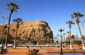 Half-day city tour of Arica & Azapa Museum
