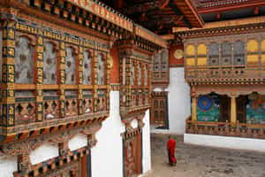 Visit the Nalanda Buddhist College