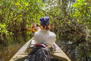 Explore Isla Palenque's coast by paddleboard or kayak