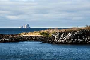 Visit Lobos Islet, San Cristobal