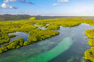 Explore the Anavilhanas Archipelago, Amazonas