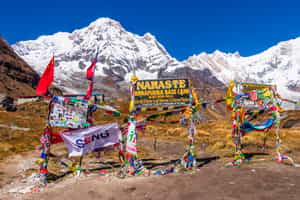 Embark on the Annapurna Base Camp trek