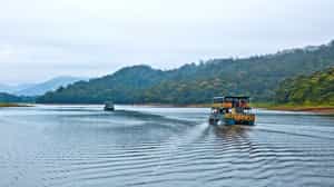 Go on a boating safari in Periyar National Park