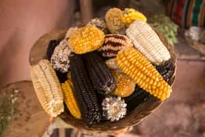 Enjoy lunch at a hacienda in the Sacred Valley
