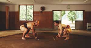 Go on a morning sumo training tour in Tokyo