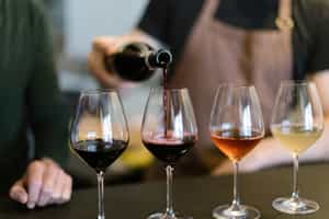 Indulge in a wine tasting tour in Puglia
