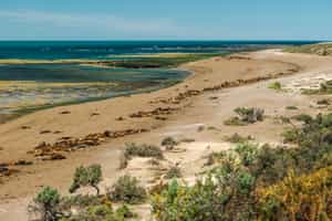 Trek or bike along the Vlades Peninsula coast