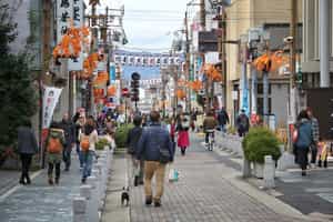 See the sites of Nara on a day tour