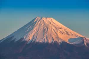 Take in scenic views of Mt. Fuji on a day tour