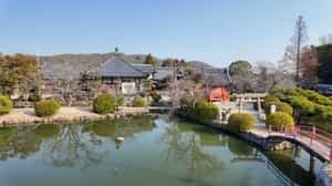 Visit the 400 year old Kodaiji Temple
