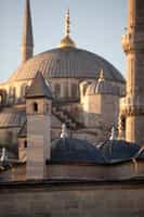 Visit the Highlights of Istanbul