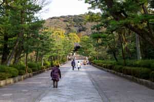 Explore Maruyama Park in Kyoto