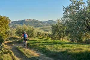 Take a bike tour of Chianti from Florence